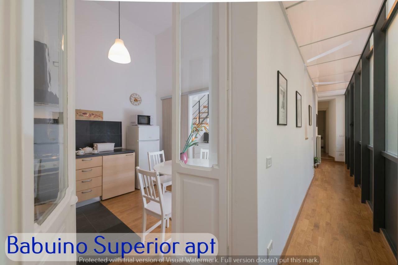 Babuino Apartments - Piazza Di Spagna 로마 외부 사진