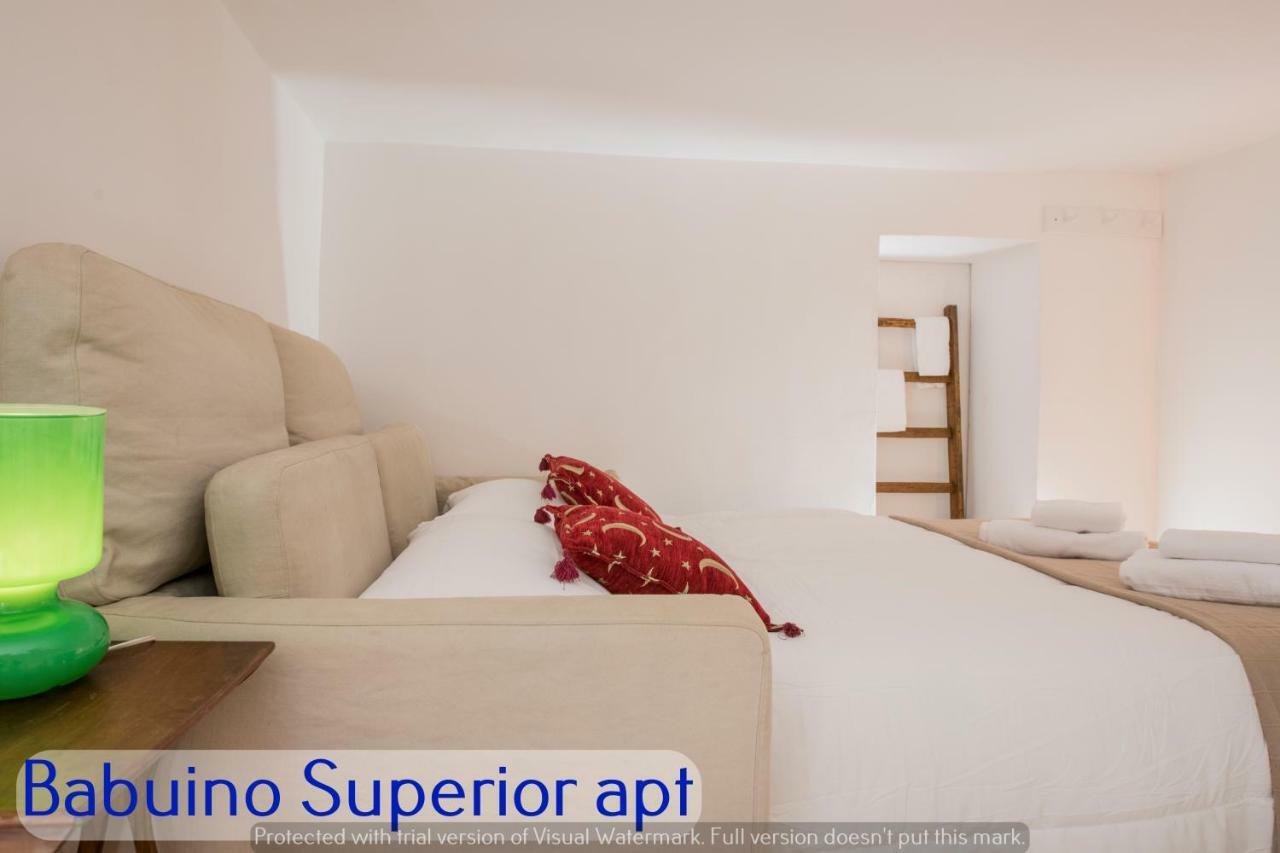 Babuino Apartments - Piazza Di Spagna 로마 외부 사진